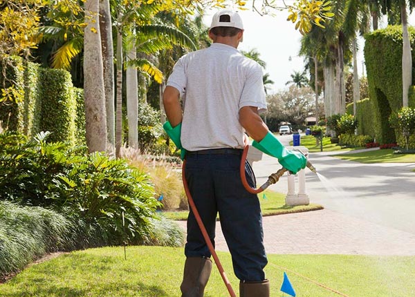 About Amelia NE Pest Control